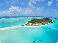 Maldivi, poroka, Sun Island Resort